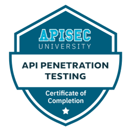 API Penetration Testing