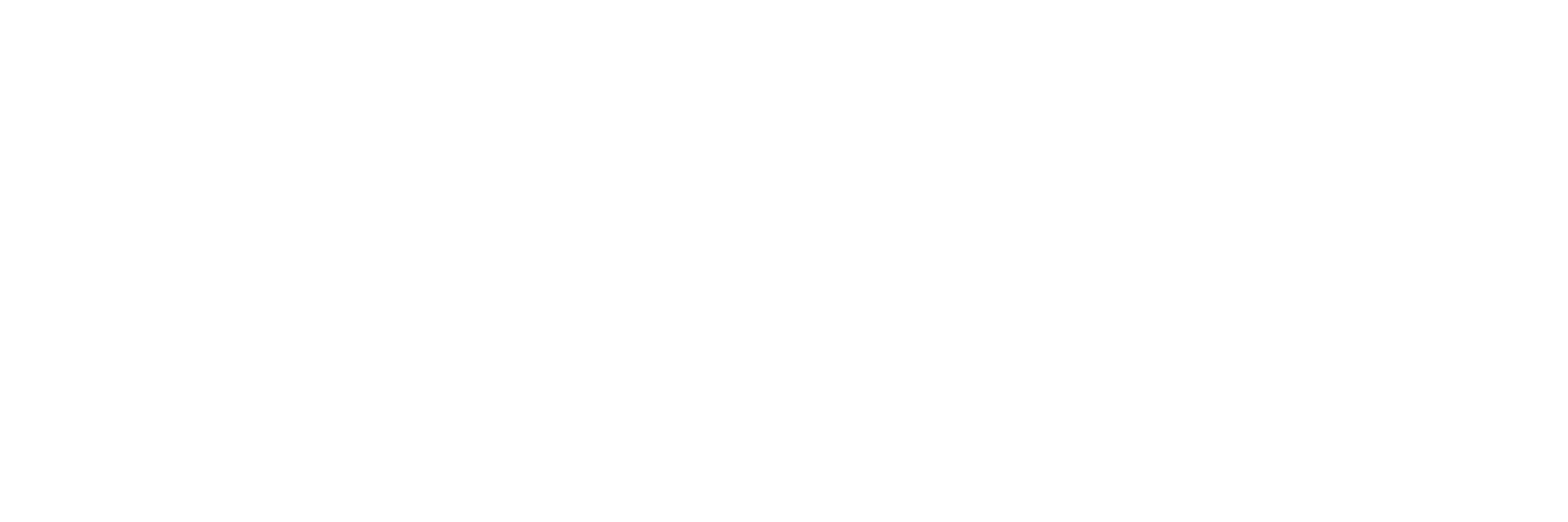 Protrion_Logo_White (2).png