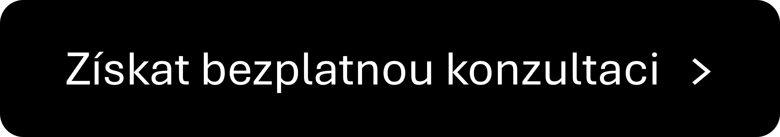 konzultacia_CZ.png